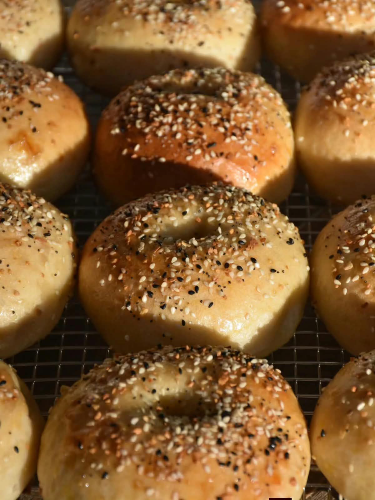 Sourdough Bagels